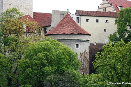 Daliborka, Pražský hrad, vězení, legenda, Dalibor z Kozojed, Perlička prasátka Pepříka